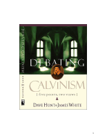 Debating_Calvinism.pdf